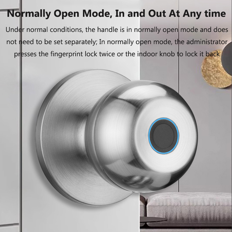 Tuya Door Lock Smart Fingerpri - Door Lock Smart Keypad recension och pris