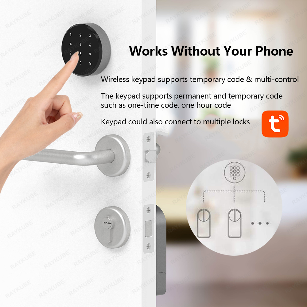 RAYKUBE A1 Pro Tuya BEL Smart  - Door Lock Smart Keypad recension och pris