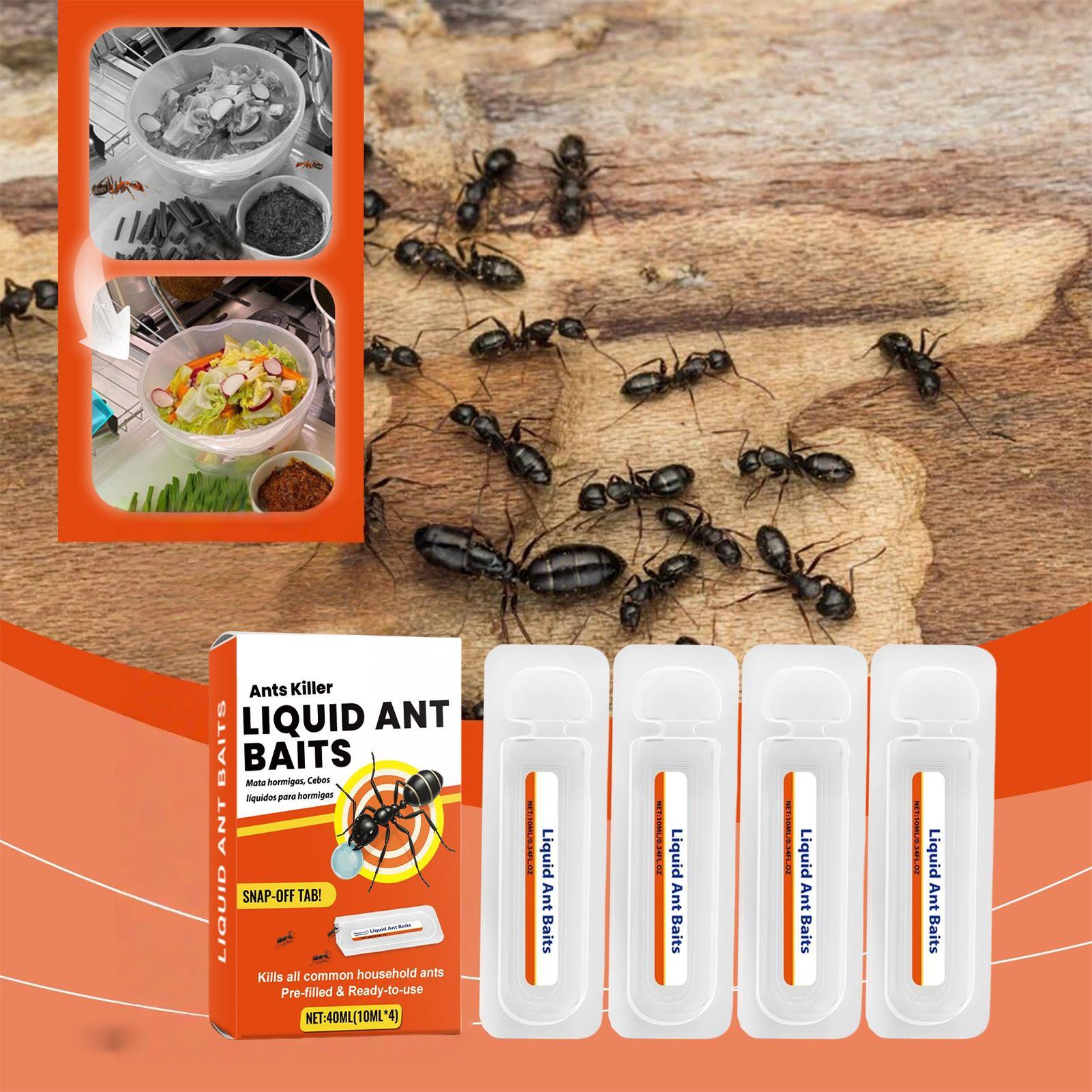 New Ant Bait Traps Indoor Ant  - Home Security Safe recension och pris