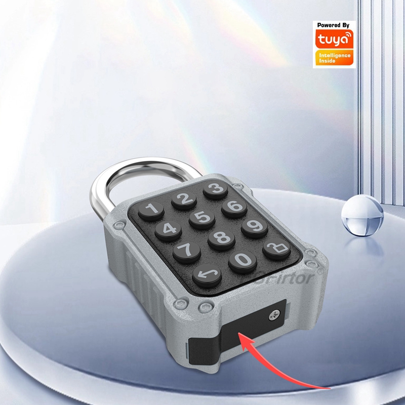 EGFirtor Tuya APP Electronic S - Door Lock Smart Keypad recension och pris