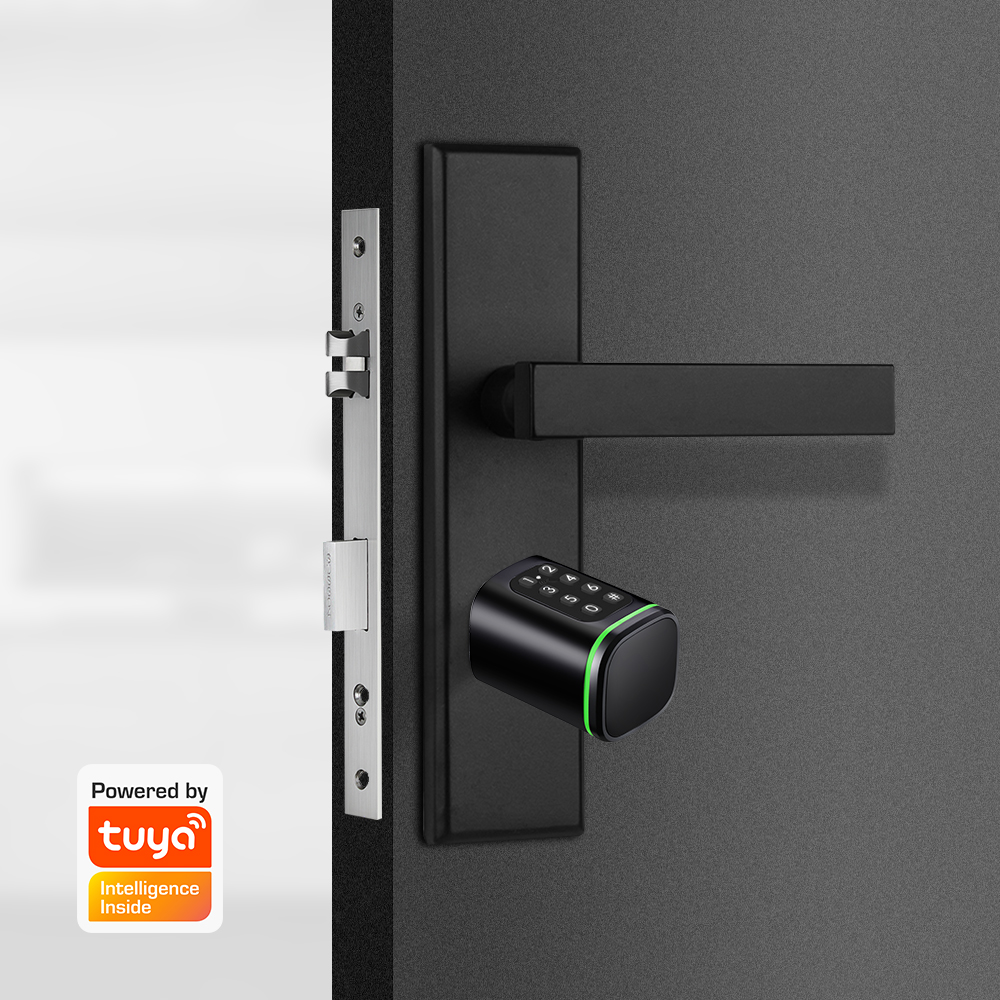 Smart Cylinder Lock Tuya 60-90 - Home Security Tips recension och pris